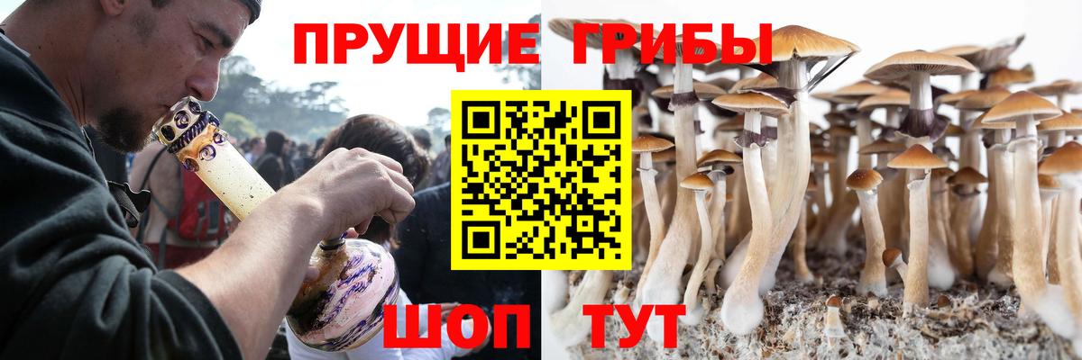 Галлюциногенные грибы MAGIC MUSHROOMS  цена наркотик  Дедовск  Вход с VPN  Псилоцибиновые грибы Cubensis 